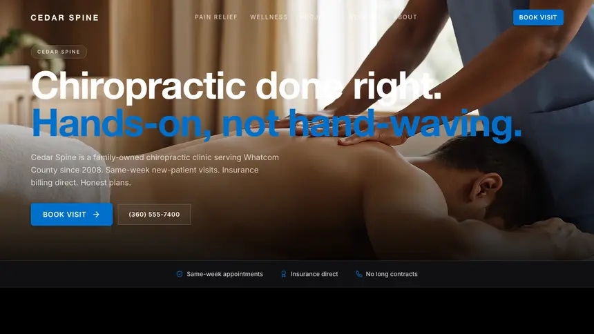 Chiropractic Luxury Statement demo website thumbnail