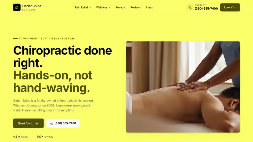 Chiropractic Data Clarity demo website thumbnail