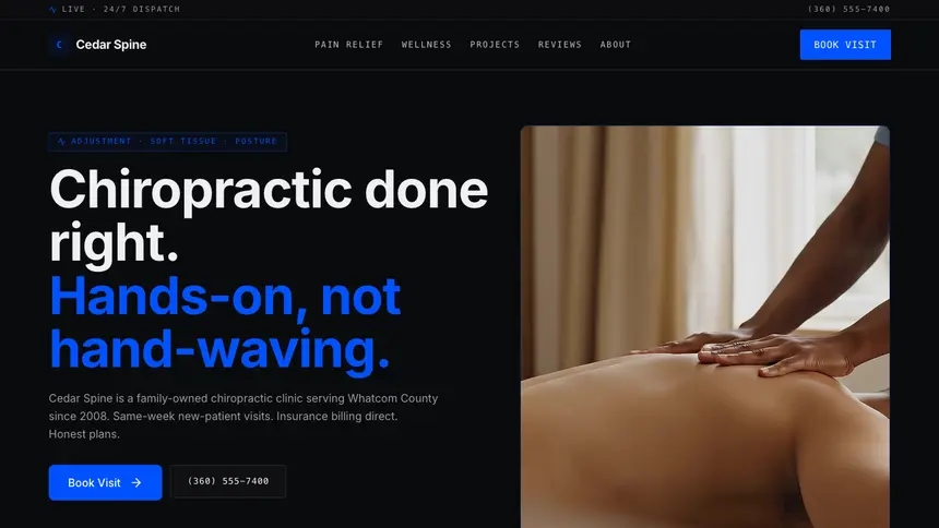 Chiropractic Trusted Finance demo website thumbnail