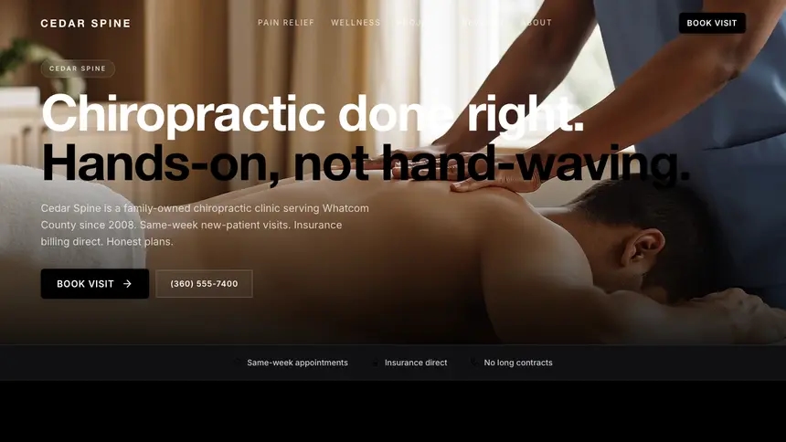 Chiropractic Expressive Modern demo website thumbnail