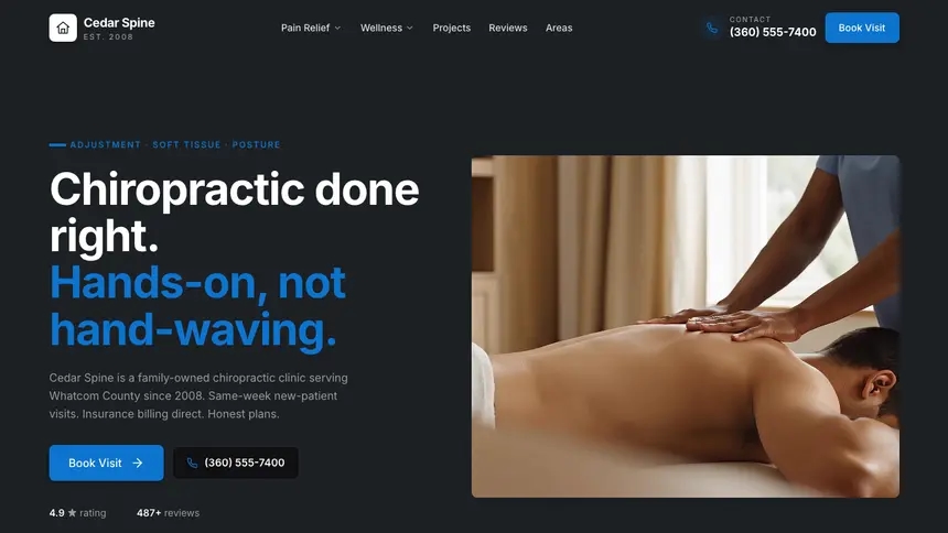 Chiropractic Friendly App demo website thumbnail