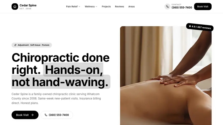 Chiropractic Playful Creative demo website thumbnail
