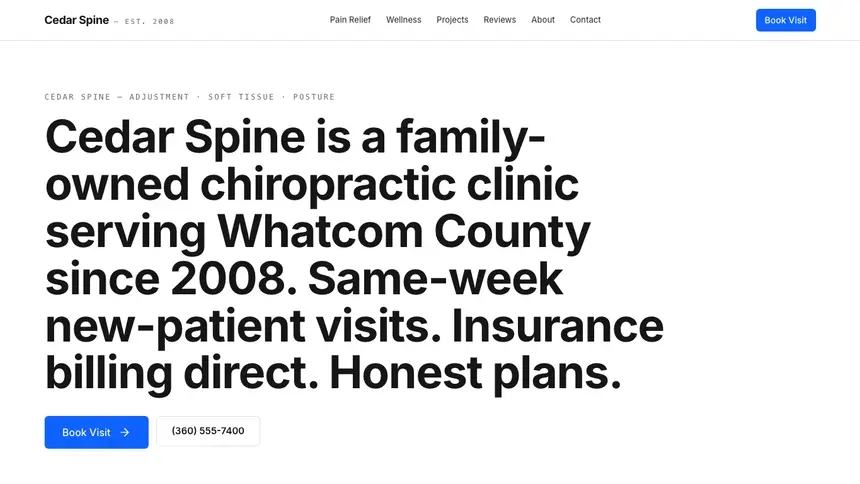 Chiropractic Enterprise Classic demo website thumbnail