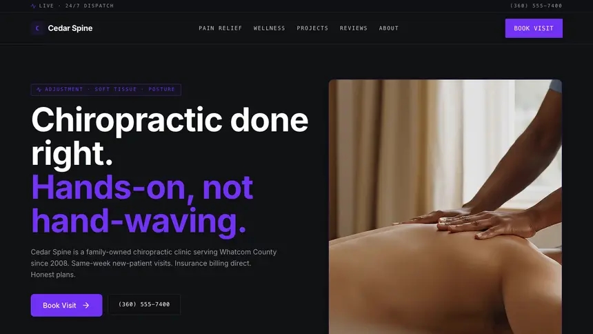 Chiropractic Deep Contrast demo website thumbnail