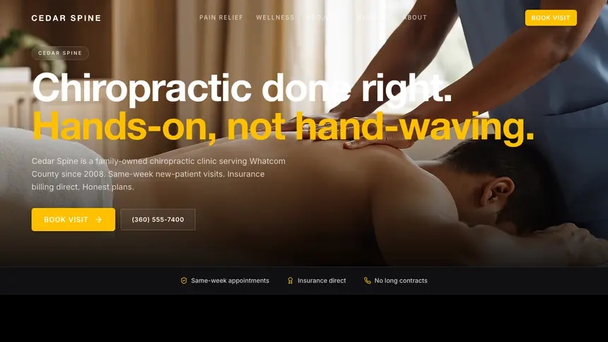 Chiropractic High Impact demo website thumbnail