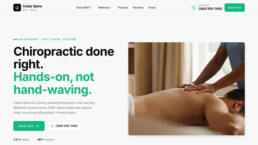 Chiropractic Sleek Minimal demo website thumbnail