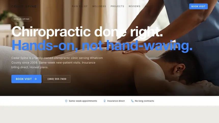 Chiropractic Soft Inviting demo website thumbnail