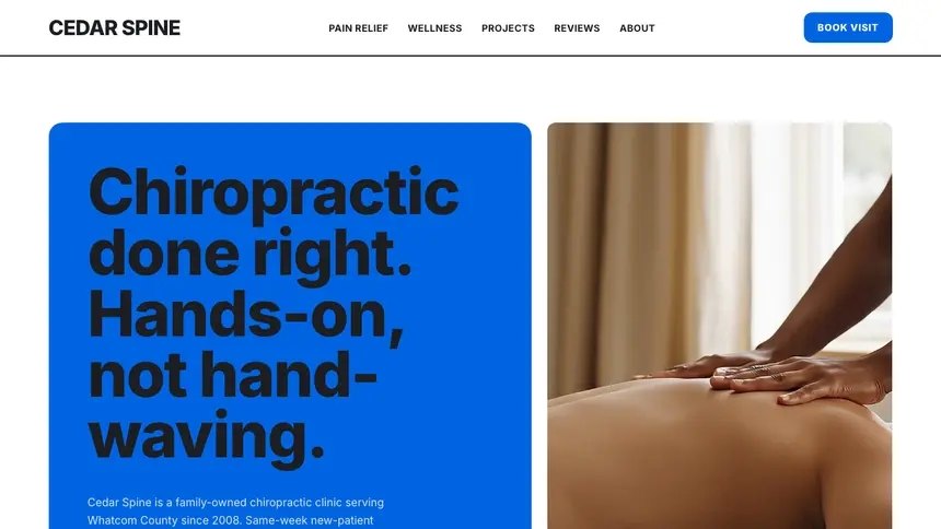 Chiropractic Open Social demo website thumbnail