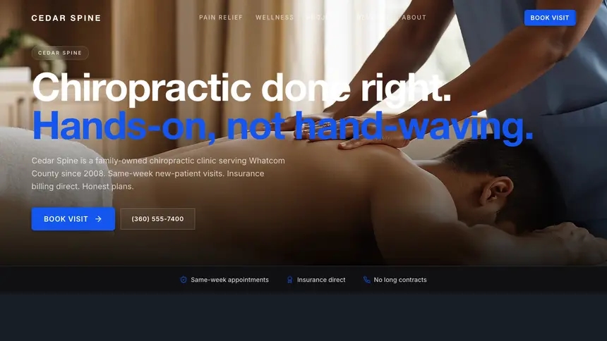 Chiropractic Compact Modern demo website thumbnail