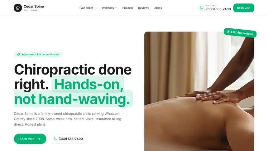Chiropractic Open Canvas demo website thumbnail