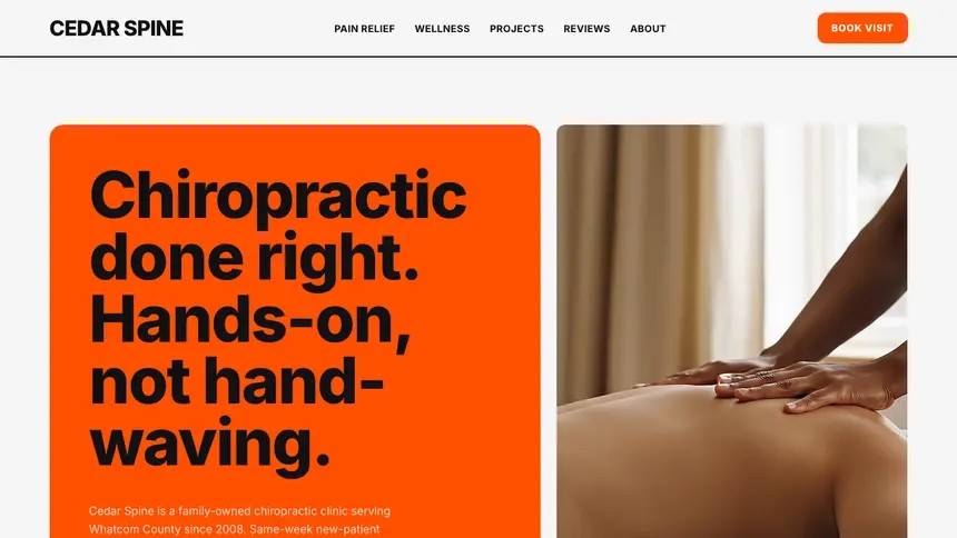 Chiropractic Bold Motion demo website thumbnail