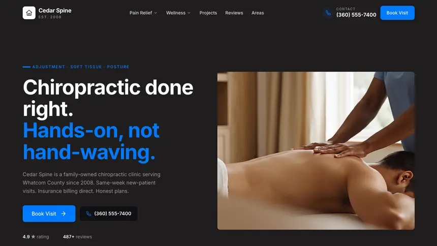 Chiropractic Developer Dark demo website thumbnail