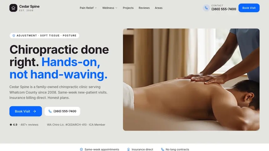 Chiropractic Visual Discovery demo website thumbnail