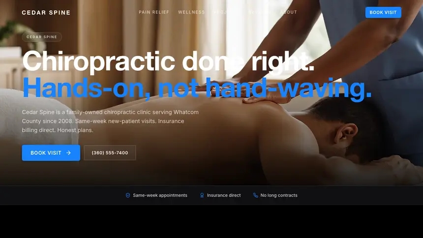 Chiropractic Dynamic Bold demo website thumbnail