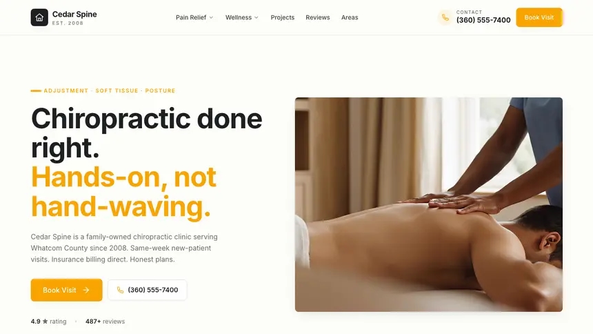 Chiropractic Playful Product demo website thumbnail