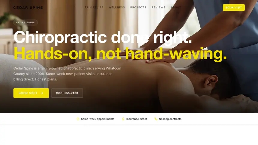Chiropractic Modern European demo website thumbnail