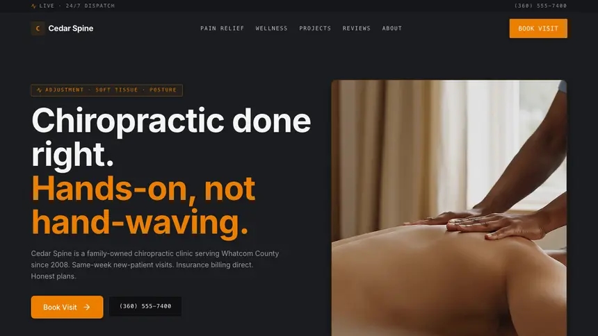 Chiropractic Modern Finance demo website thumbnail