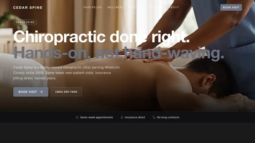 Chiropractic Creative Studio demo website thumbnail