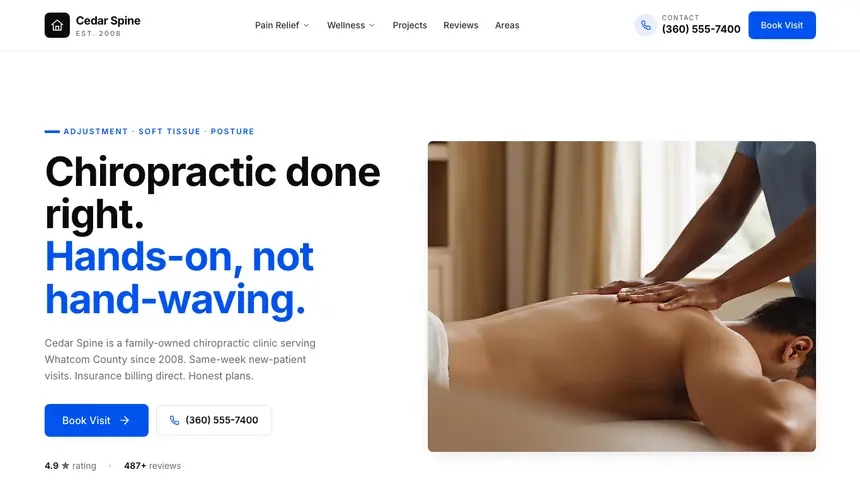 Chiropractic Editorial Content demo website thumbnail