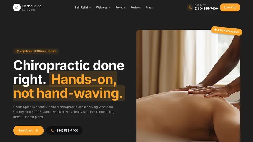 Chiropractic Vibrant Media demo website thumbnail