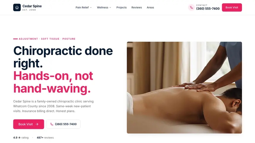 Chiropractic Polished Gradient demo website thumbnail