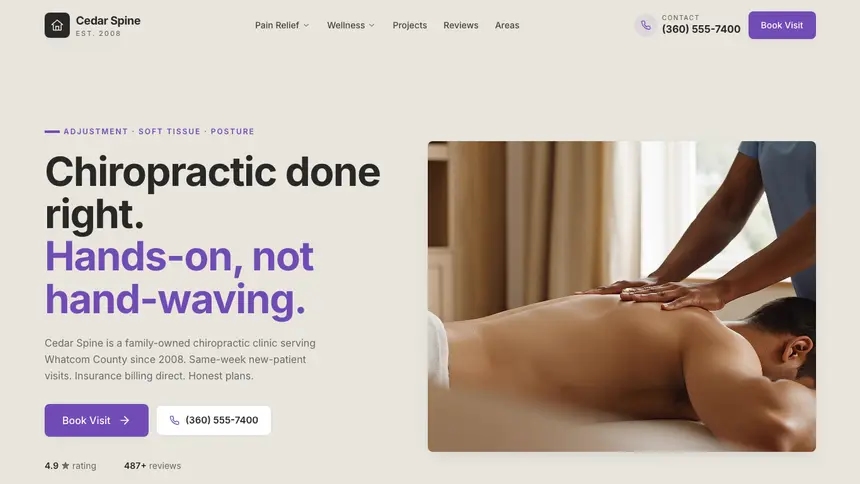 Chiropractic Sleek Premium demo website thumbnail