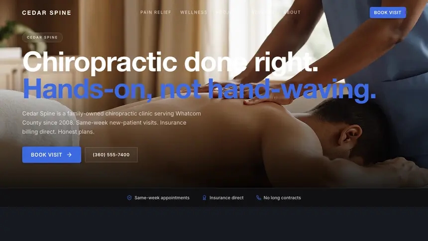Chiropractic Futuristic Minimal demo website thumbnail