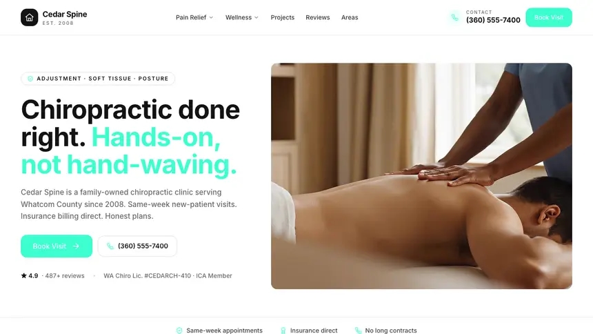 Chiropractic Editorial Media demo website thumbnail