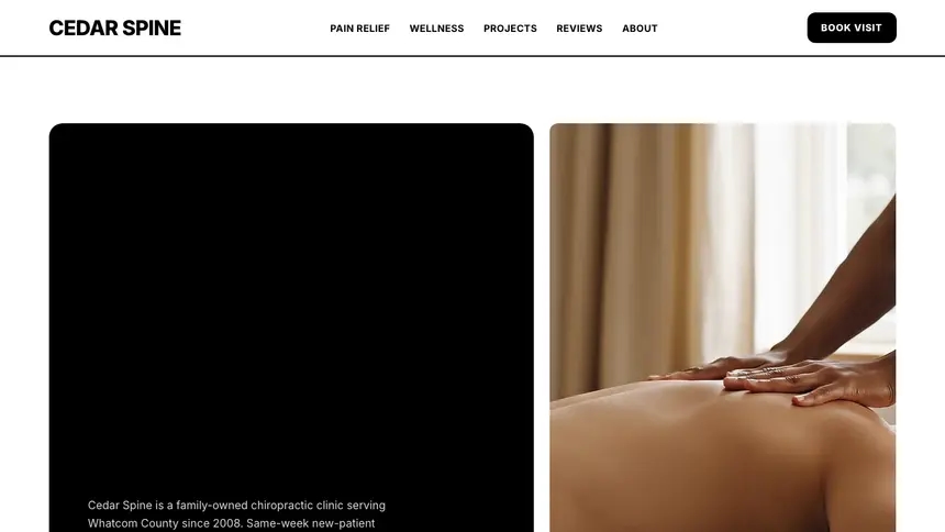 Chiropractic Bold Utility demo website thumbnail