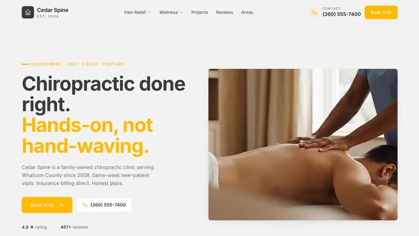Chiropractic Energetic Tech demo website thumbnail