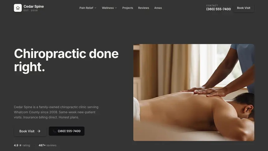 Chiropractic Fast Utility demo website thumbnail