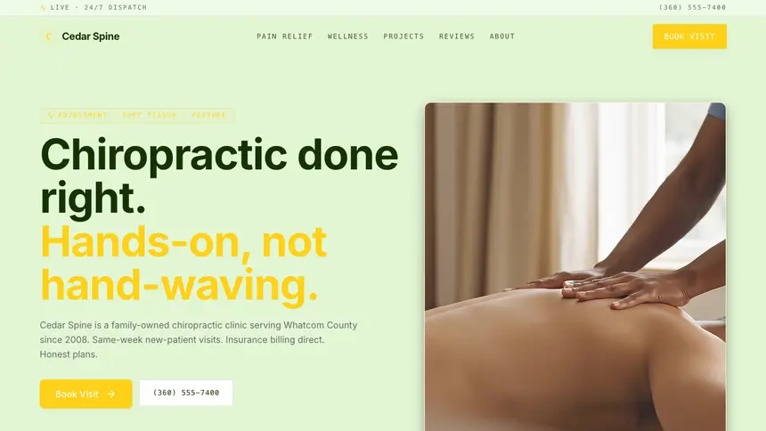 Chiropractic Bright Finance demo website thumbnail