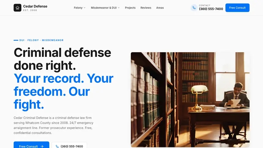 Criminal Defense Monochrome Modern demo website thumbnail