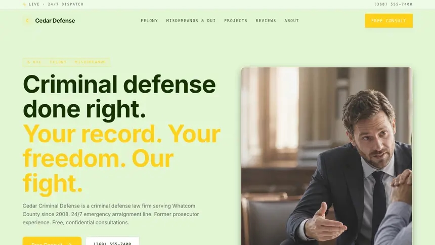 Criminal Defense Bright Finance demo website thumbnail