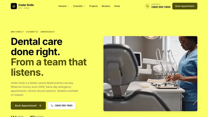 Dental Data Clarity demo website thumbnail