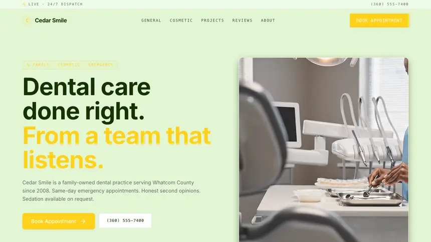 Dental Bright Finance demo website thumbnail