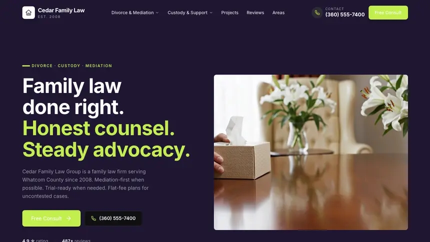 Family Law Focused Monitor demo website thumbnail