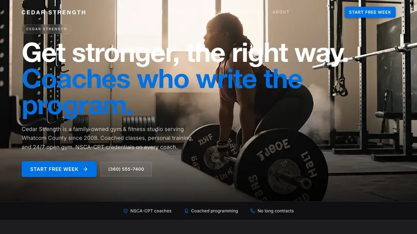 Gym & Fitness Minimal Premium demo website thumbnail