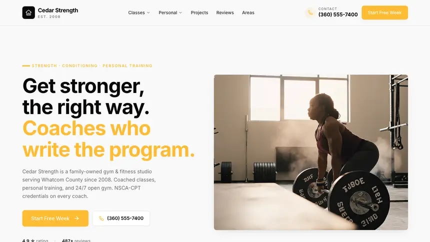 Gym & Fitness Crisp Utility demo website thumbnail