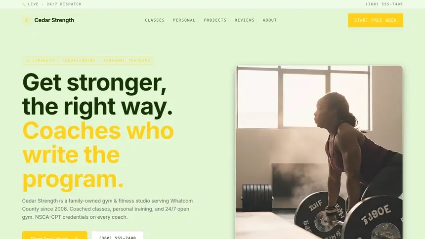 Gym & Fitness Bright Finance demo website thumbnail