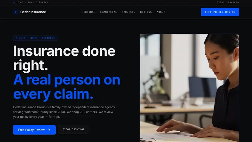 Insurance Trusted Finance demo website thumbnail