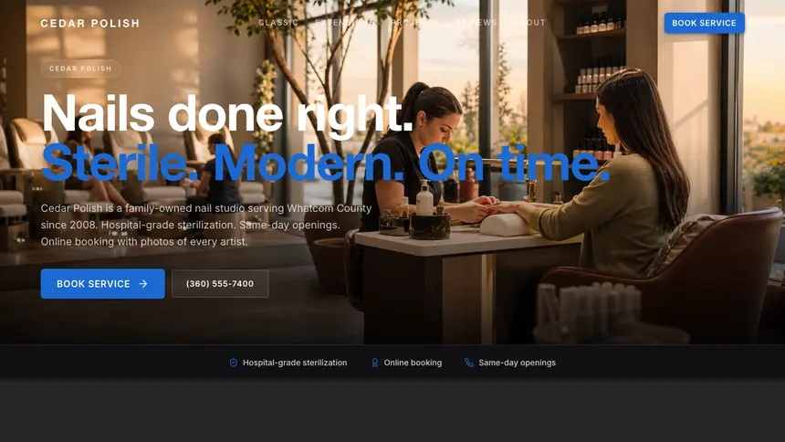 Nail Salon Precision Classic demo website thumbnail