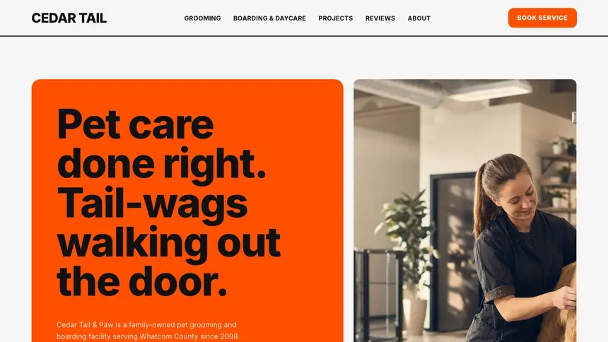 Pet Services Bold Motion demo website thumbnail