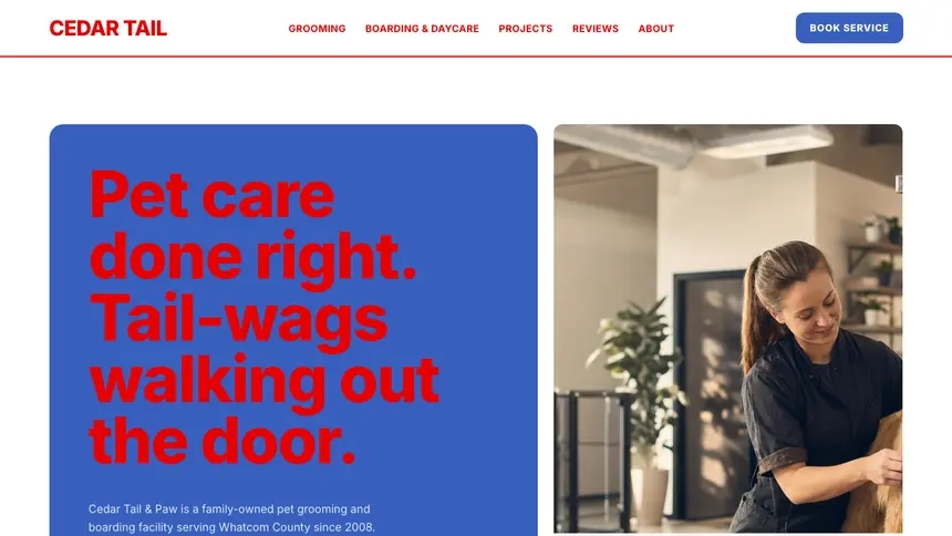 Pet Services Confident Telecom demo website thumbnail