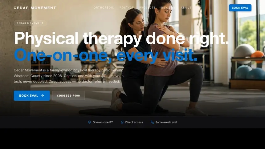 Physical Therapy Luxury Statement demo website thumbnail
