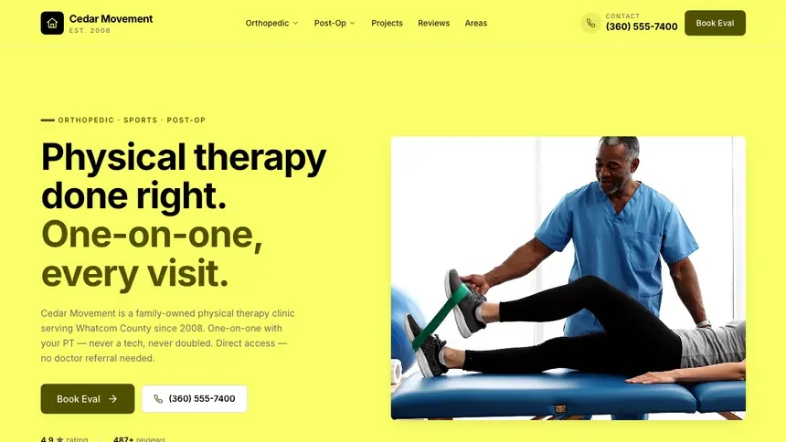 Physical Therapy Data Clarity demo website thumbnail
