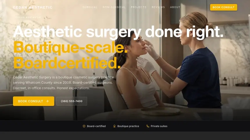 Cosmetic Surgery Performance Accent demo website thumbnail
