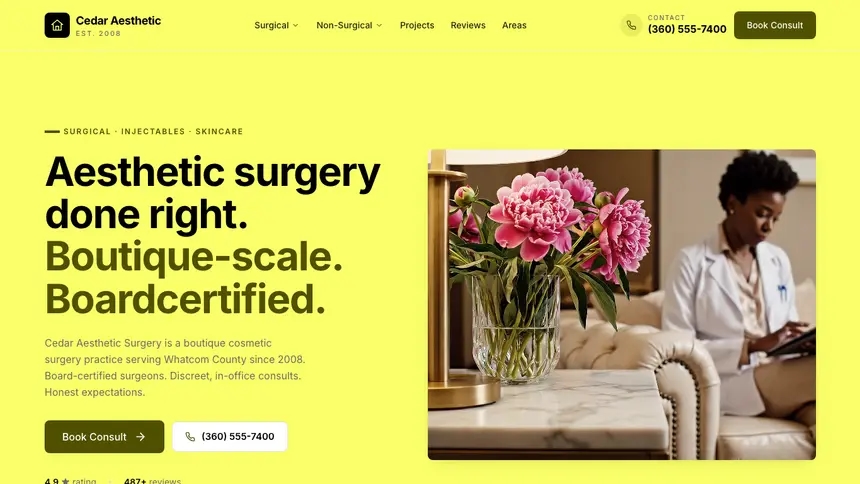 Cosmetic Surgery Data Clarity demo website thumbnail
