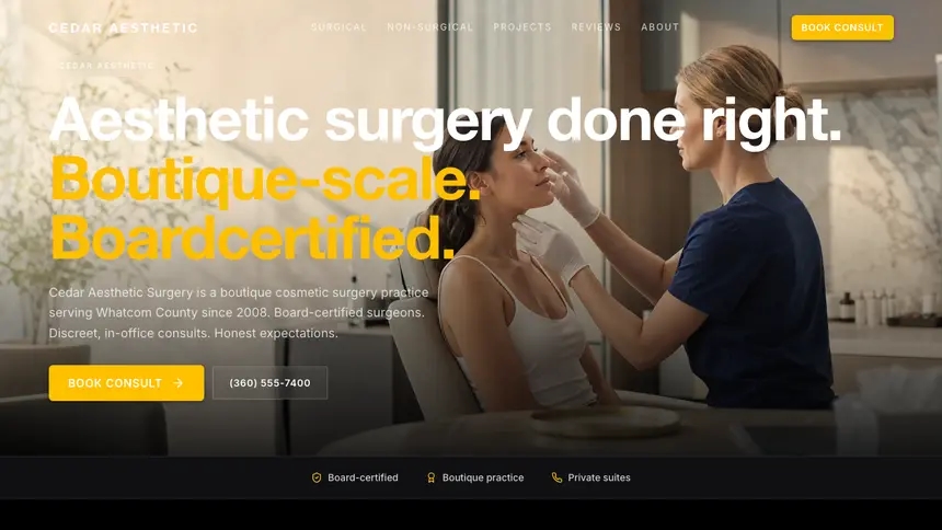 Cosmetic Surgery High Impact demo website thumbnail