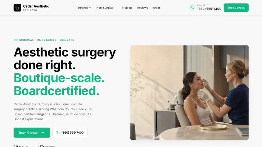 Cosmetic Surgery Sleek Minimal demo website thumbnail